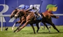 Richard Hannon Racing News - Barney Battles Bravely In The Eclipse