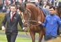 Richard Hannon Racing News - Barney Does Us Proud