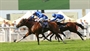 Richard Hannon Racing News - BARNEY TAKES ON BRITISH CHAMPIONS STAKES