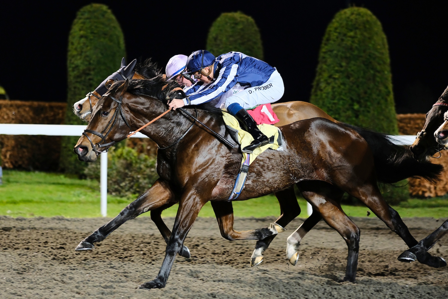 Talis Evolvere winning at Kempton under David Probert, 06/01/24.