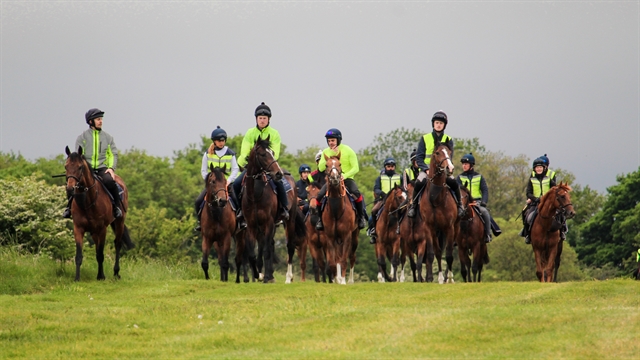 Everleigh string heading over to the gallops